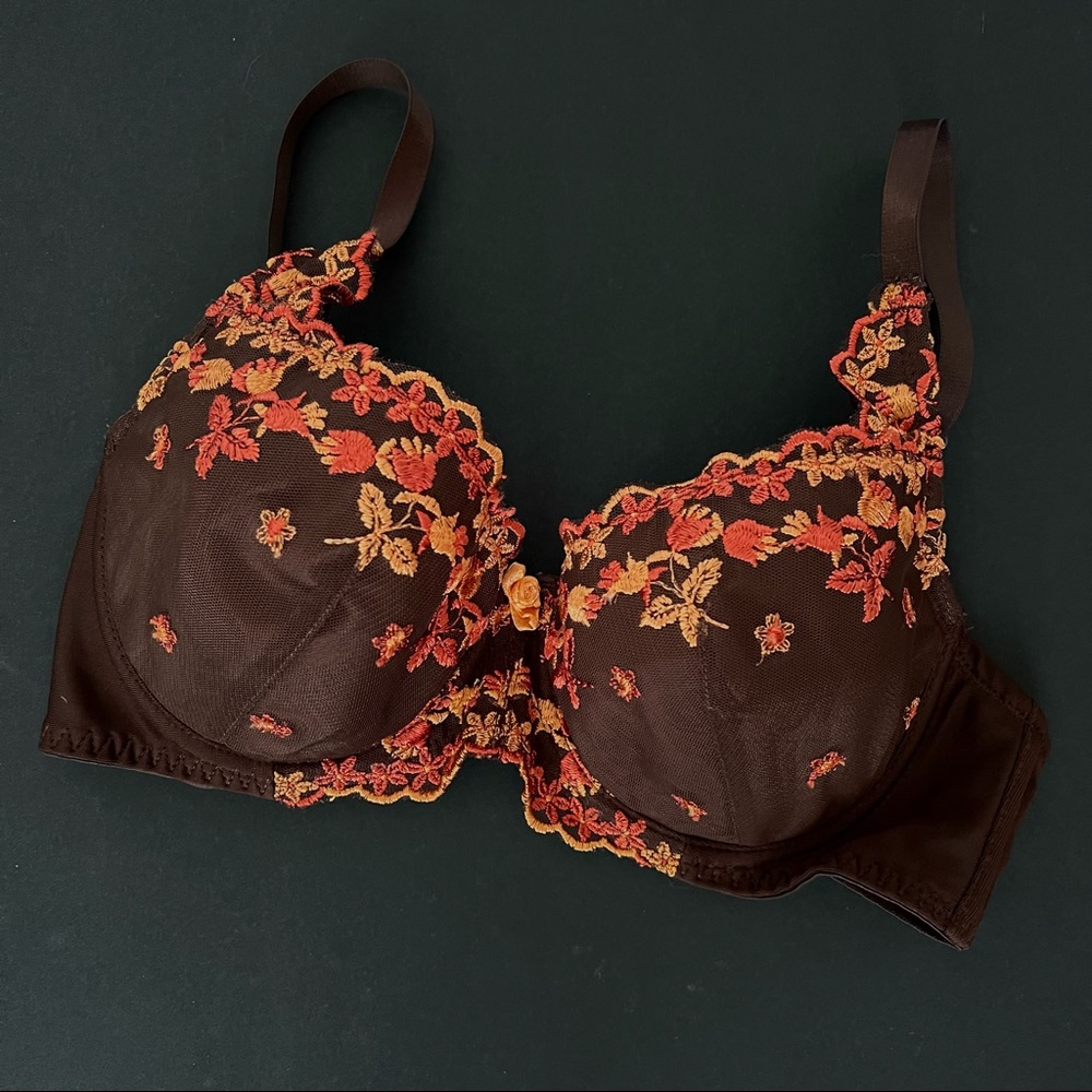 QT Embroidered Floral Bra Brown 34C